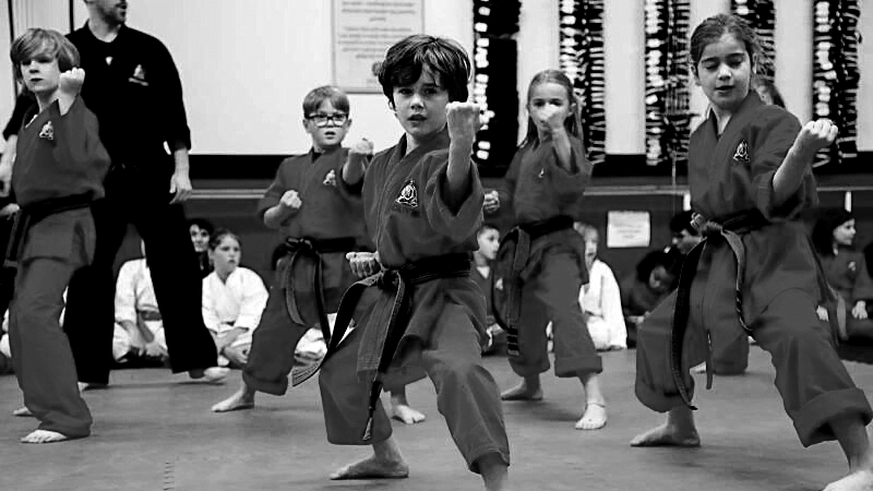 After School Programming: Karate