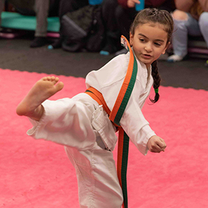 Douvris Tykes Karate Program