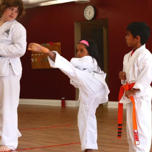 Douvris Westboro Karate Program