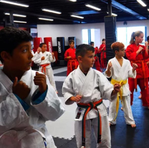 Douvris Barrhaven kids karate class