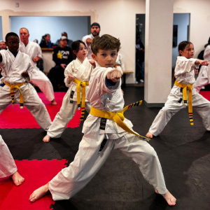 karate_kids Kids Karate Douvris Orleans