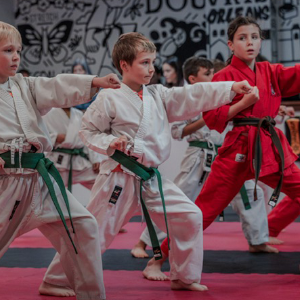 karate_tykes Karate Tykes Douvris Orleans